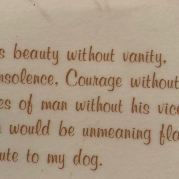 NWT Reversible Pet Bowl Dog food or water Plasticized Floor Placemat! - Picture 7 of 16